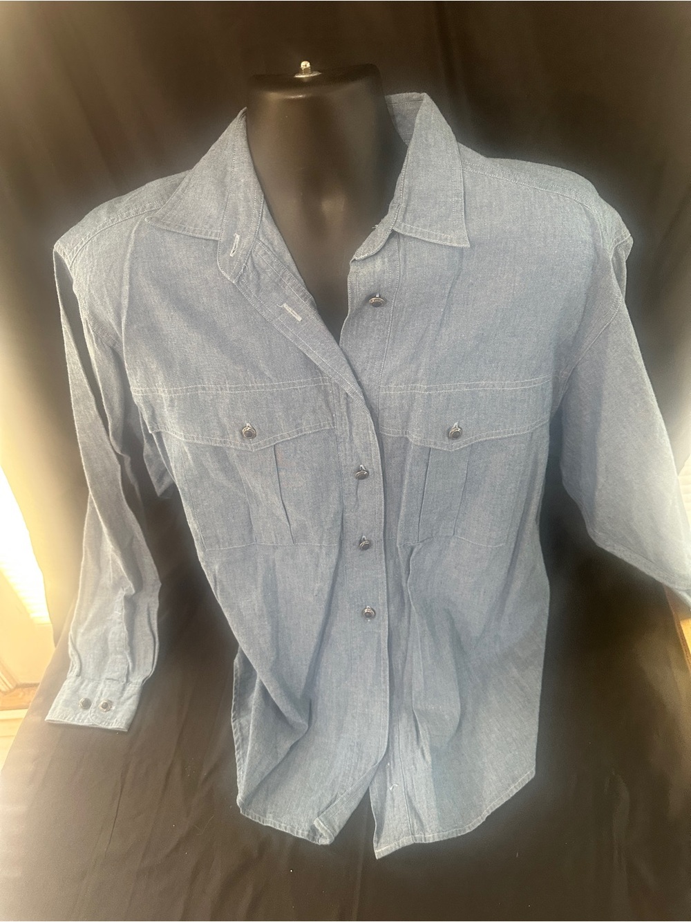 Classic ladies button up-retro from the limited-NWT-size XL-#622